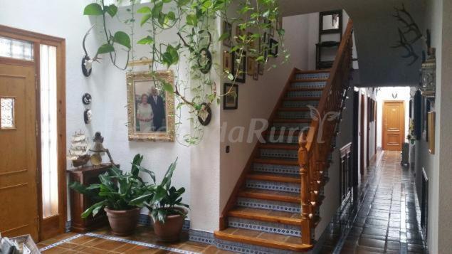 Finca Cerro Del Moro Albarreal de Tajo Εξωτερικό φωτογραφία