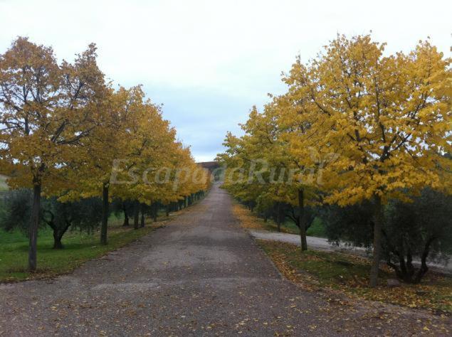 Finca Cerro Del Moro Albarreal de Tajo Εξωτερικό φωτογραφία